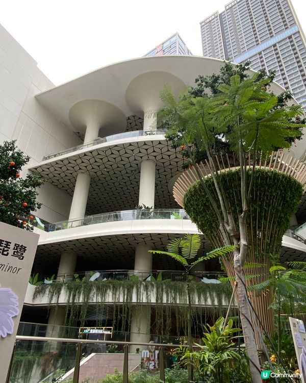 ✨深圳🇨🇳-⚠️💬超巨大黑臉琵鷺⁉️💢親子好去處📸📍坂田萬科廣場