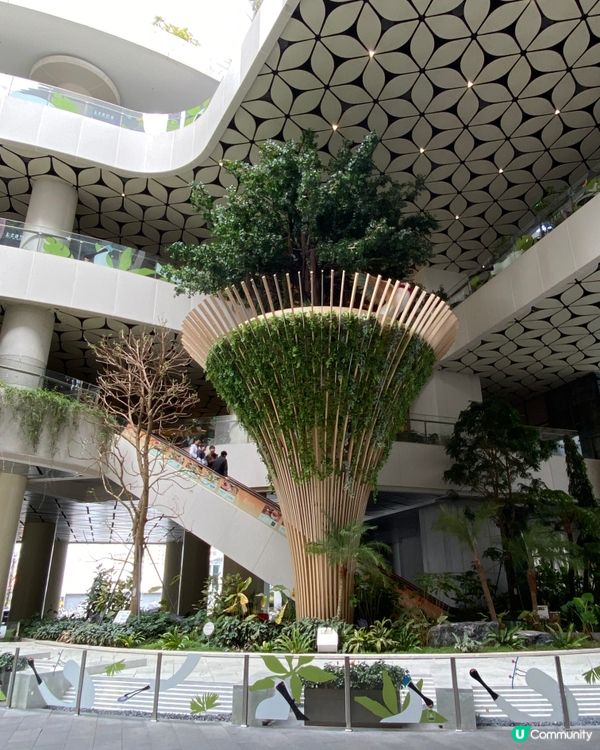 ✨深圳🇨🇳-⚠️💬超巨大黑臉琵鷺⁉️💢親子好去處📸📍坂田萬科廣場