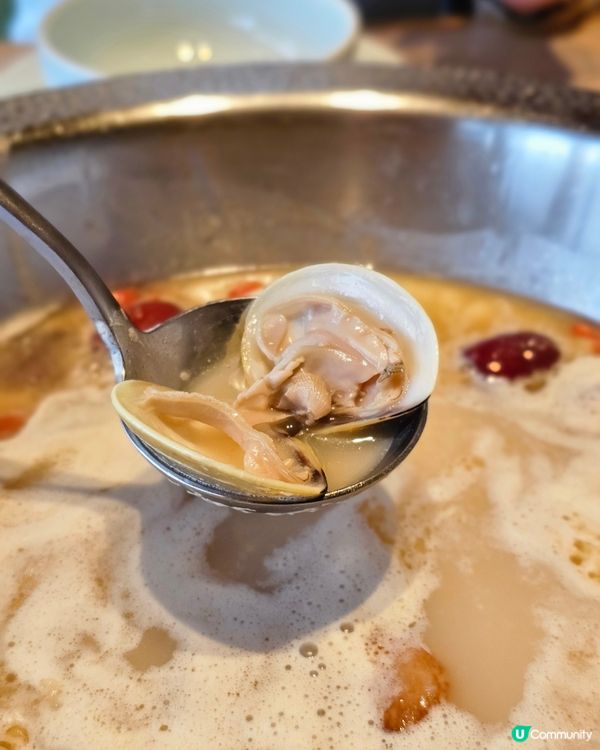 人氣過江龍火鍋品牌