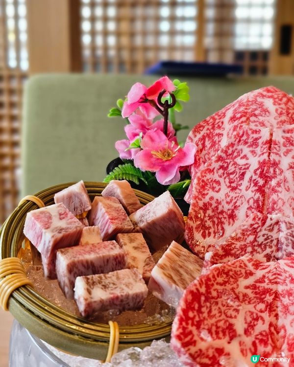 人氣過江龍火鍋品牌