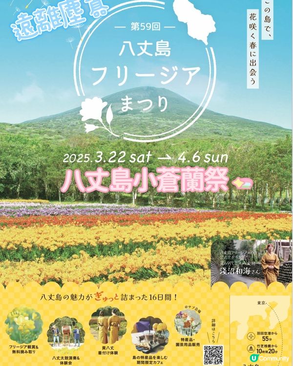 東京外海八丈島💐小蒼蘭祭感受原始的悸動💗