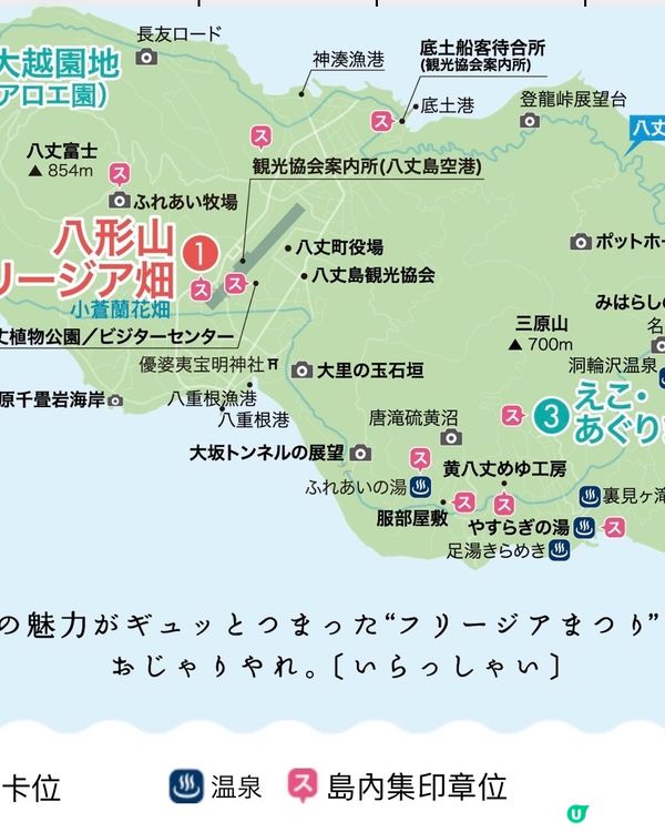 東京外海八丈島💐小蒼蘭祭感受原始的悸動💗