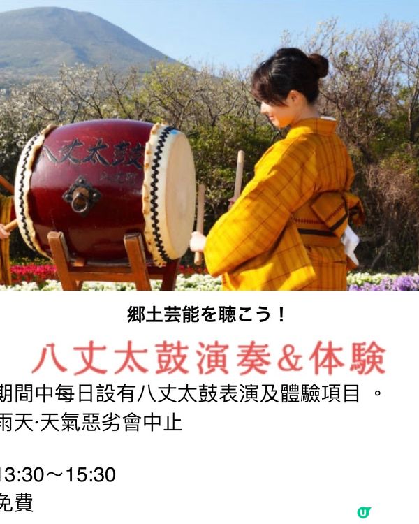 東京外海八丈島💐小蒼蘭祭感受原始的悸動💗