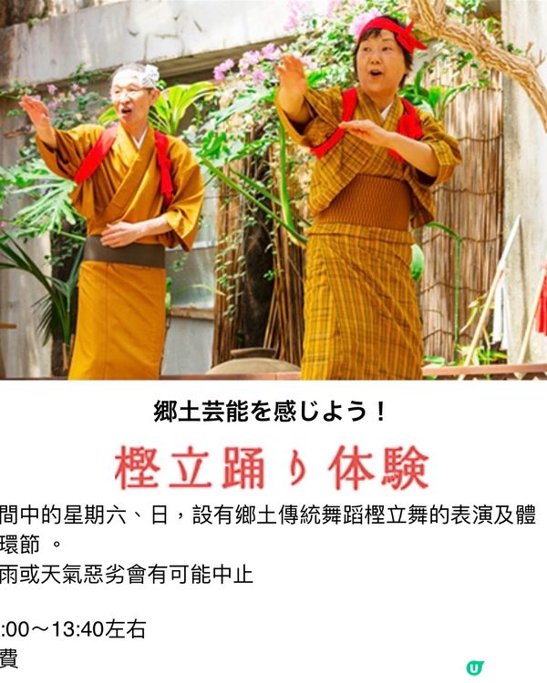 東京外海八丈島💐小蒼蘭祭感受原始的悸動💗