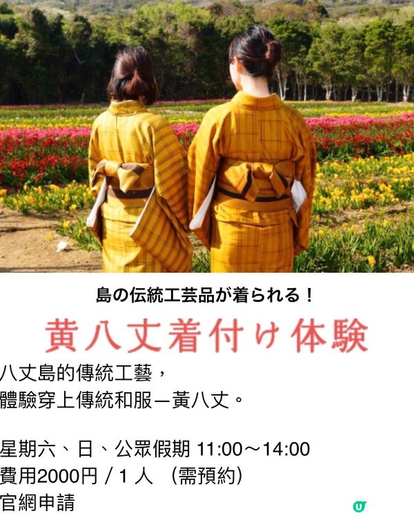 東京外海八丈島💐小蒼蘭祭感受原始的悸動💗