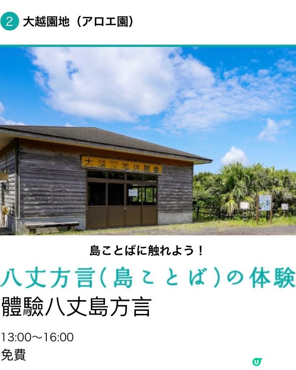 東京外海八丈島💐小蒼蘭祭感受原始的悸動💗