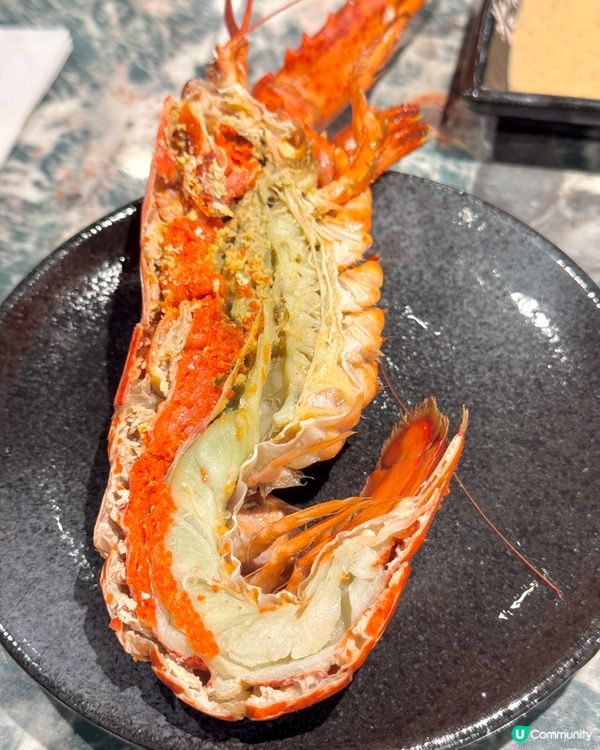 尖沙咀生蠔任食‼️‼️召集生蠔控､海鮮控‼️