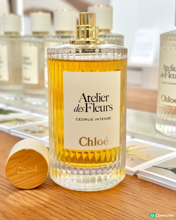 海港城的 Atelier des Fleurs藝術展覽🔶