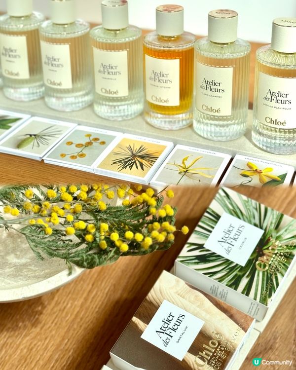 海港城的 Atelier des Fleurs藝術展覽🔶