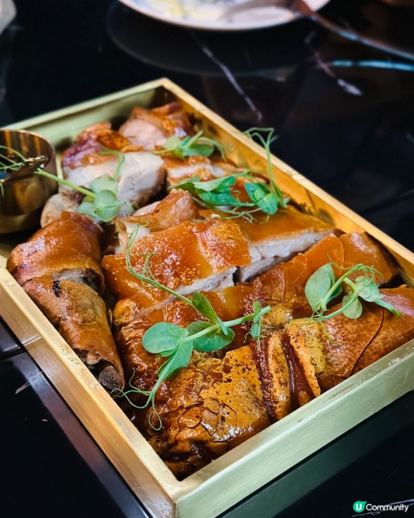 港島樓上西班牙菜超滿座❤️‍🔥軟心巴斯克😍脆皮西班牙乳豬