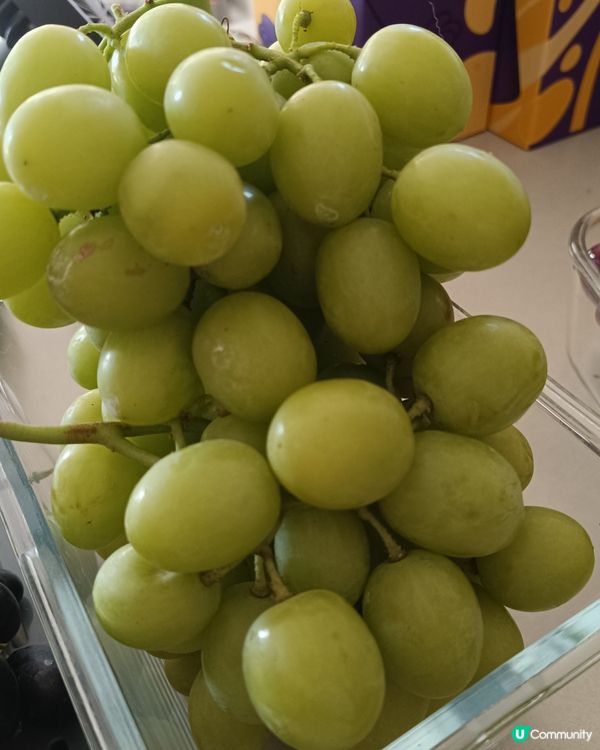 [西澳夏日活動🍇］提子提子‼️ 秋脆！棉花糖提子！