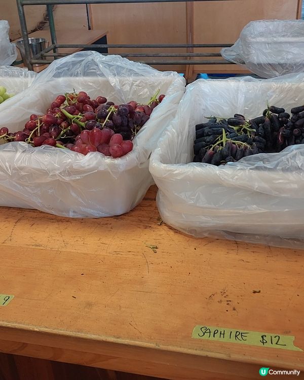 [西澳夏日活動🍇］提子提子‼️ 秋脆！棉花糖提子！