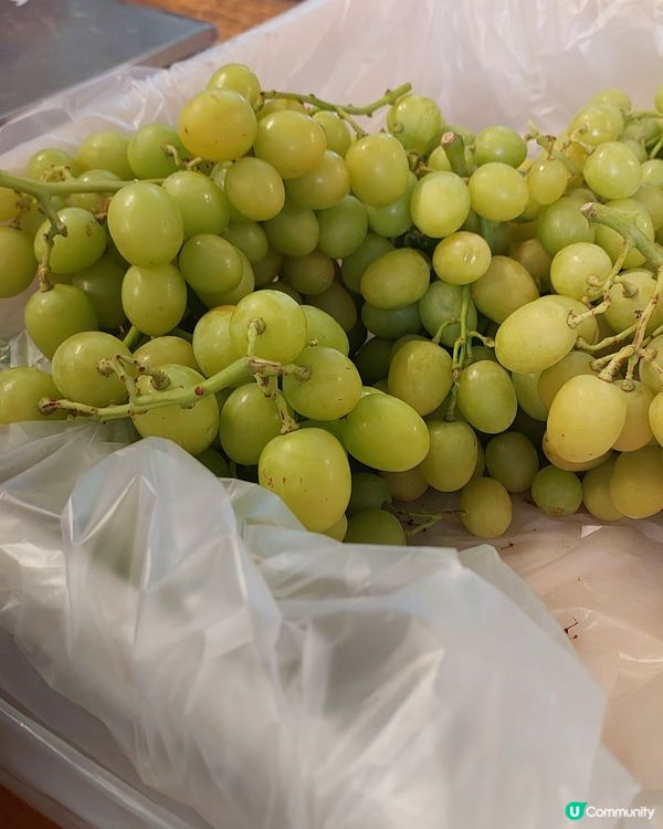 [西澳夏日活動🍇］提子提子‼️ 秋脆！棉花糖提子！