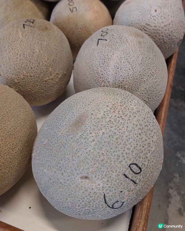 [西澳夏日活動🍇］提子提子‼️ 秋脆！棉花糖提子！