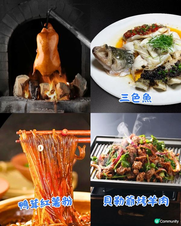 深圳片皮鴨5大必食推介🔥40年棗木燒製/魚子醬烤鴨/必吃榜第一💰最低¥79起