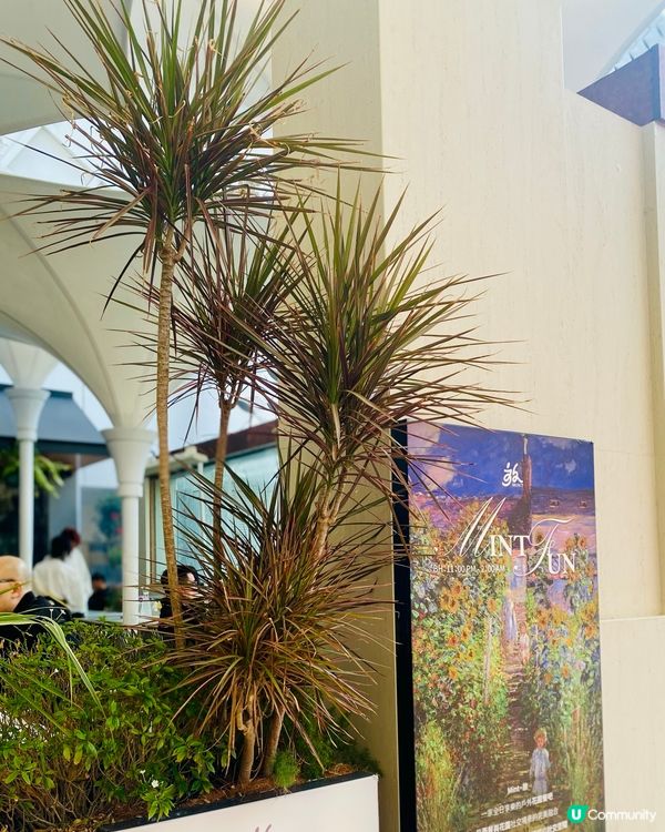 😻甜食鹹食都有👍🏻👍🏻與花相伴🪻🌷🌹戶外度假風小餐廳 🥘🧂