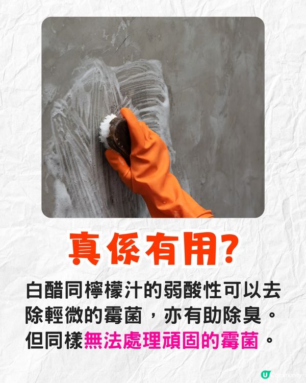 牆身發霉點處理❓教你1招最強除霉法💪梳打粉+白醋其實無用⁉️