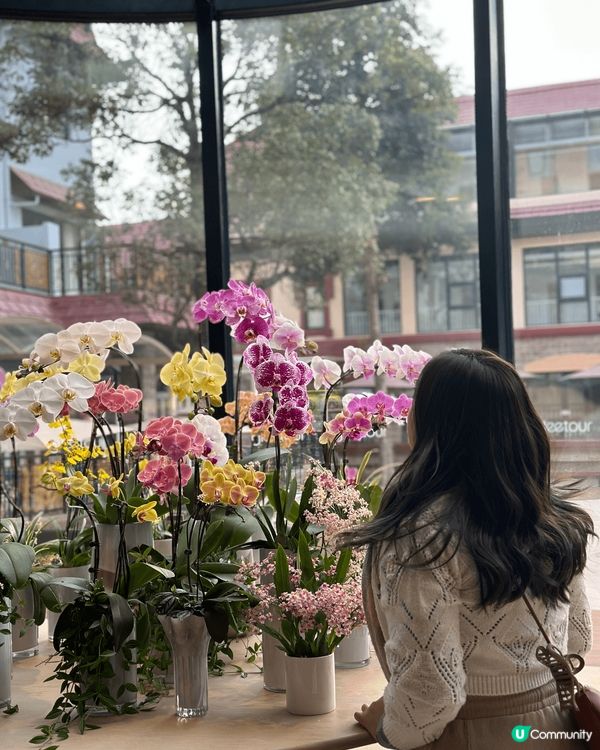 聖誕深圳一日遊💓在聖誕氣氛濃厚的田園風餐廳打卡，再去酒店過夜...