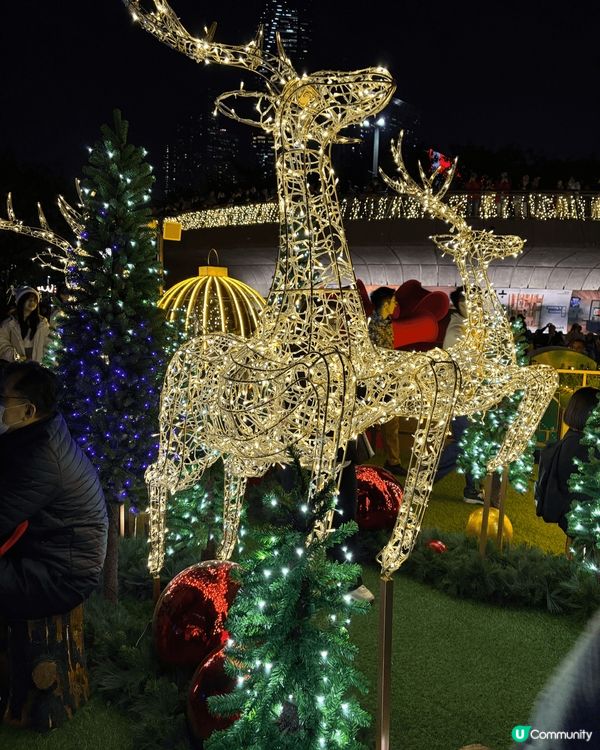 我去了西九龍文化區內的聖誕小鎮，參觀了聖誕樹和遊覽了香港黃昏...