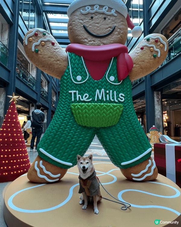 五光十色聖誕打卡熱點