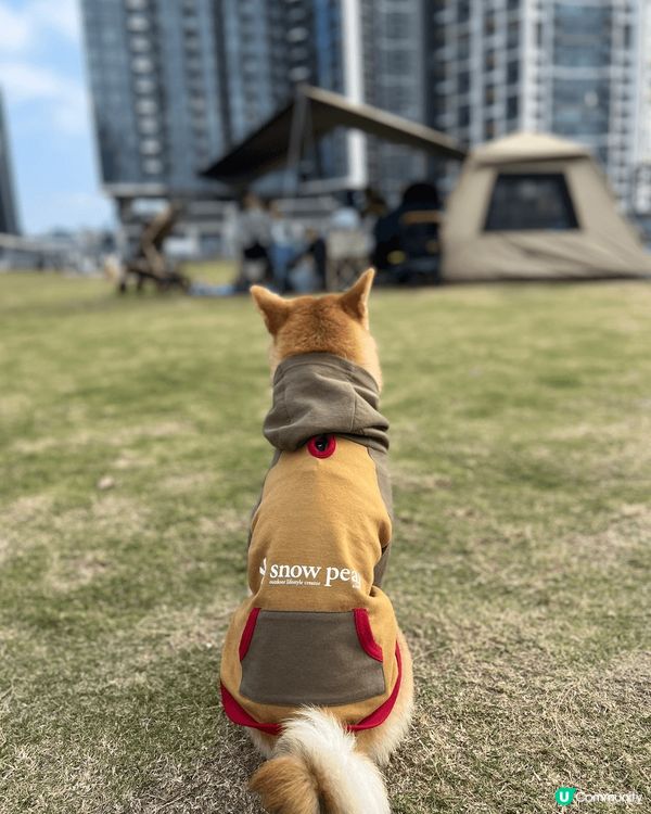 五光十色聖誕打卡熱點