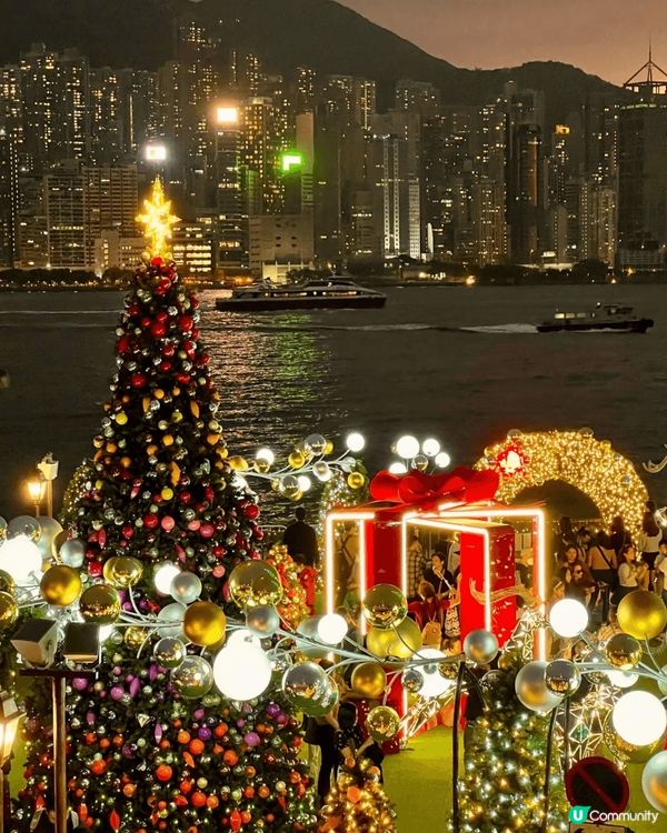 聖誕節的香港就像是從童話世界走來這裡的聖誕樹不僅是節日的標誌...