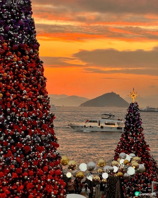 聖誕節的香港就像是從童話世界走來這裡的聖誕樹不僅是節日的標誌...