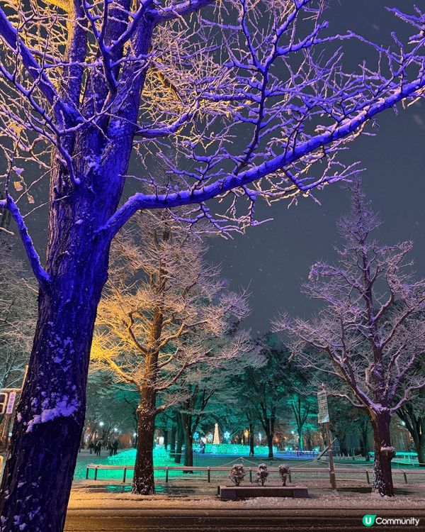 北海道大通公園雪景一流，現時的聖誕市集，有嘢買有嘢食，一定要...