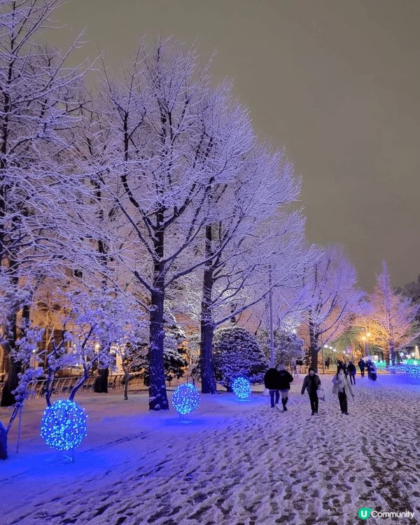 北海道大通公園雪景一流，現時的聖誕市集，有嘢買有嘢食，一定要...