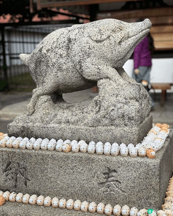 到京都超可愛豬豬寺祈求發財！  京都有很多神社，我們找了一家...