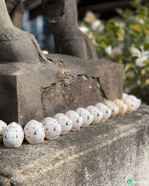 到京都超可愛豬豬寺祈求發財！  京都有很多神社，我們找了一家...