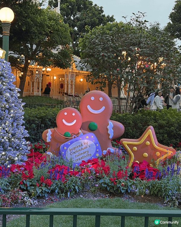 迪士尼樂園內有不同的迪士尼角色的聖誕製飾，在晚上更為聖誕樹亮...