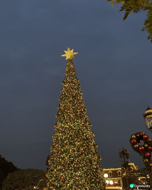 迪士尼樂園內有不同的迪士尼角色的聖誕製飾，在晚上更為聖誕樹亮...