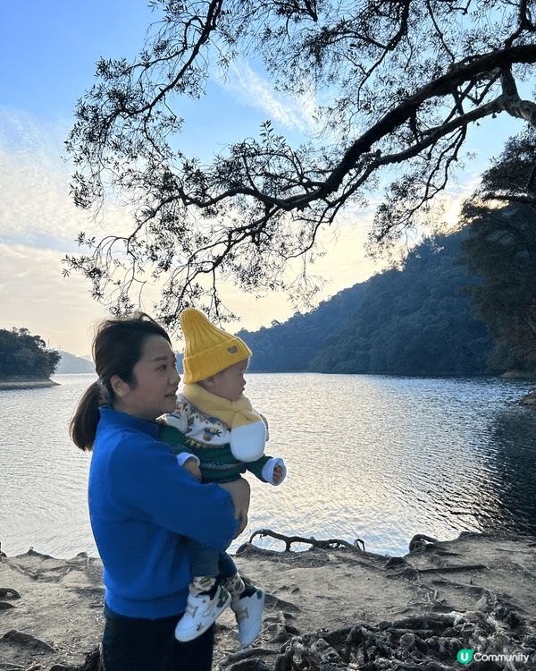 尖沙咀觀光巴士，荃灣白千層，沙田市中心，不論效外定商場都影到...