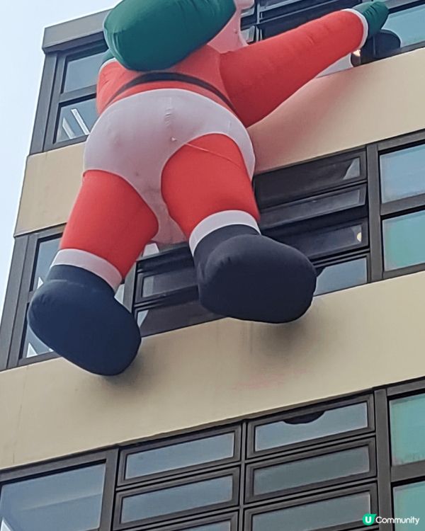 很有聖誕氣氛。