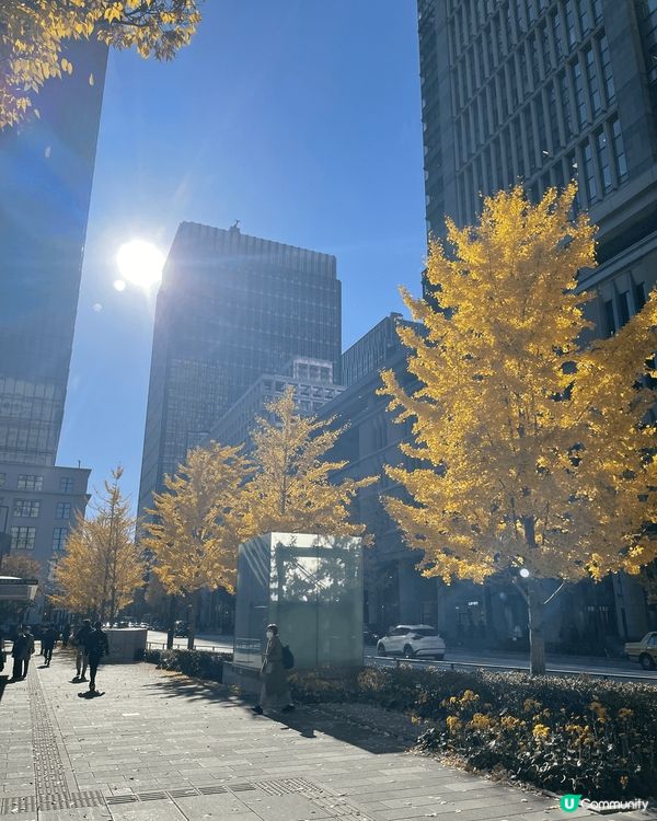 #遠離敏感肌 聖誕節梗係要返鄉下探下日本既美景，美食！眼前聖...