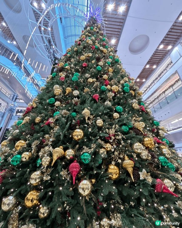 適逢節日處處聖誕氣氛，例如西九龍聖誕市集，金鐘巨型聖誕動物+...