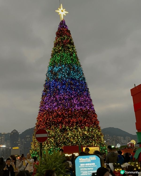 適逢節日處處聖誕氣氛，例如西九龍聖誕市集，金鐘巨型聖誕動物+...