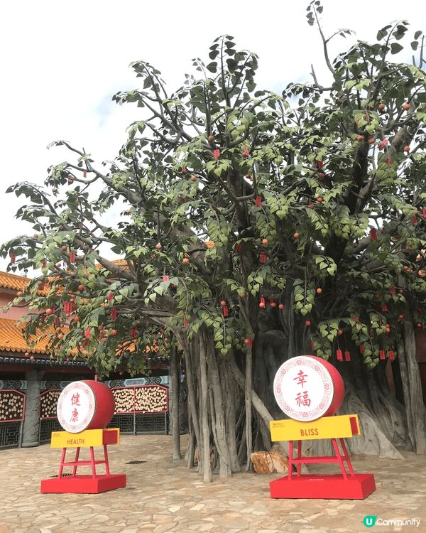 位於昂坪的打卡熱點，是一個很不錯的旅遊地方！乘搭360的纜車...