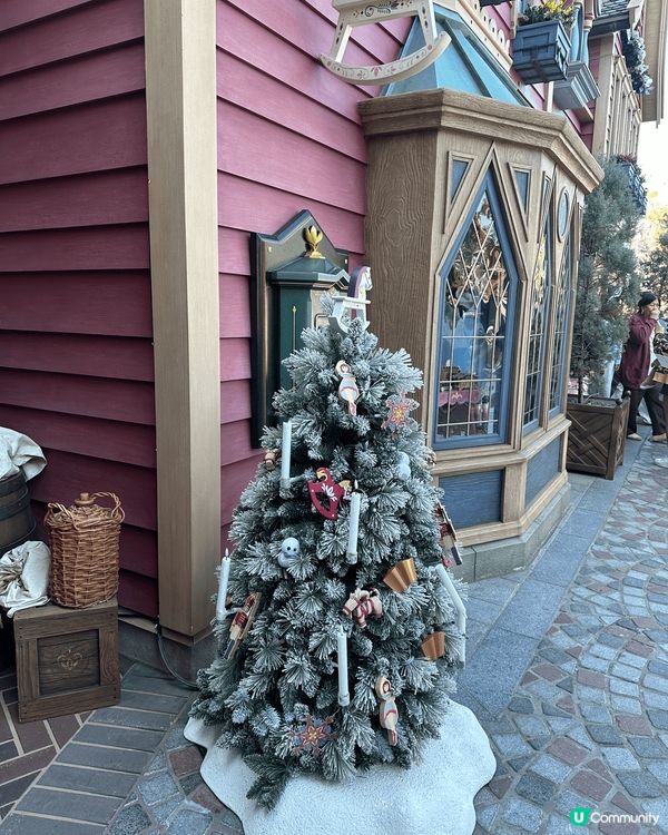 香港迪士尼度聖誕期間限定，每晚魔雪奇緣園區都會放雪，充滿北歐...