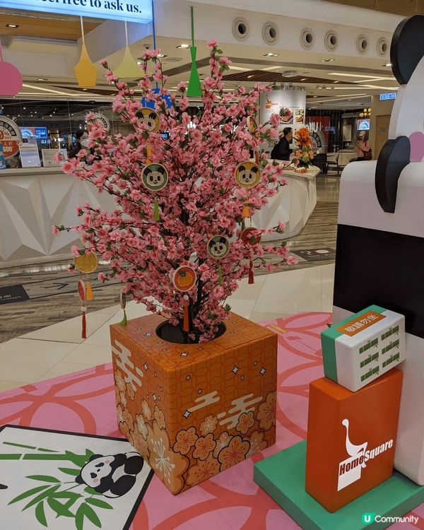 沙田homesquare, 好多可愛熊貓打卡位，仲有抽獎同遊...