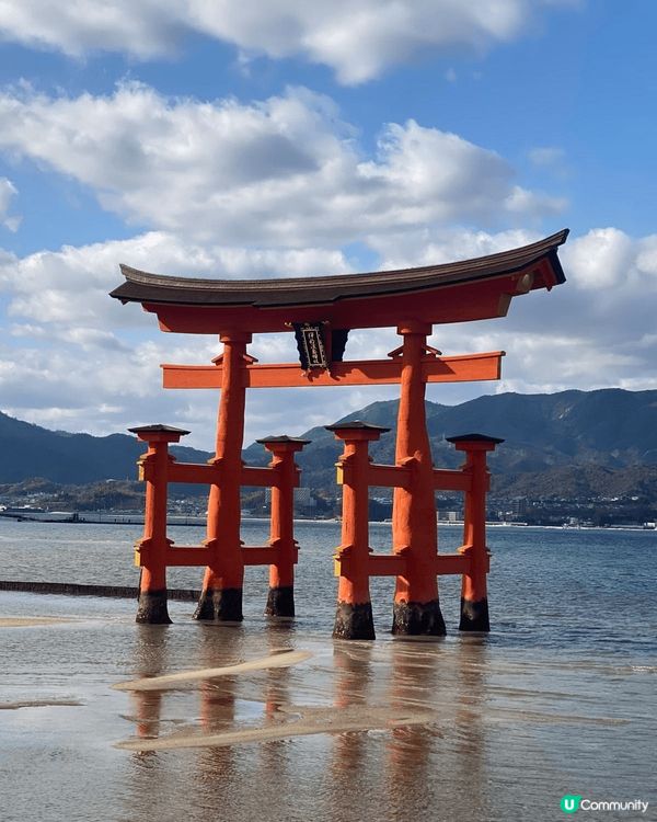 今個聖誕旅程日本火車團，超級棒，明天繼續行程。✌