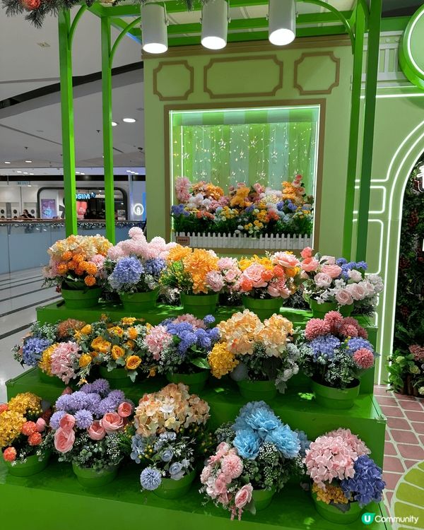 這是青衣城，今年2024年青衣城以聖誕熊為主題，打造一個充滿...