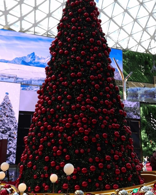 聖誕節期間，澳門上葡京酒店有snoopy卡通人物裝飾，顯得份...