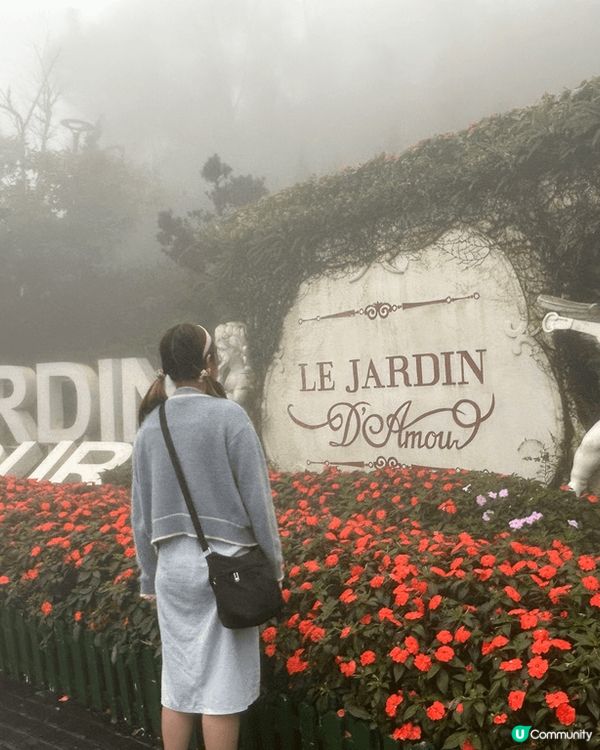 聖誕去咗越南玩，越南啲聖誕樹超靚，同埋去咗巴拿山，巴黎山幾大...