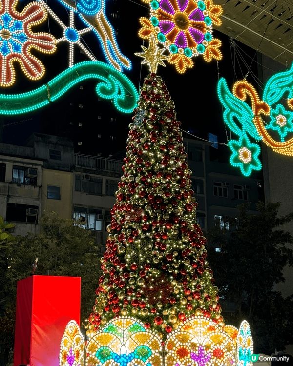 香港的聖誕節總是很有氣氛，各個地方的聖誕樹別具特色，這次精選...