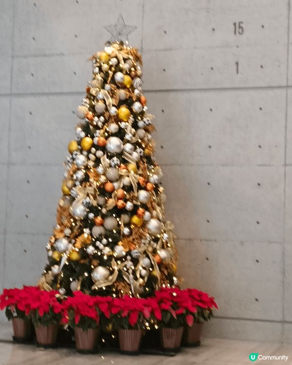 聖誕節離不開睇聖誕樹，睇聖誕裝飾，行商場,買禮物，會佳友，開...