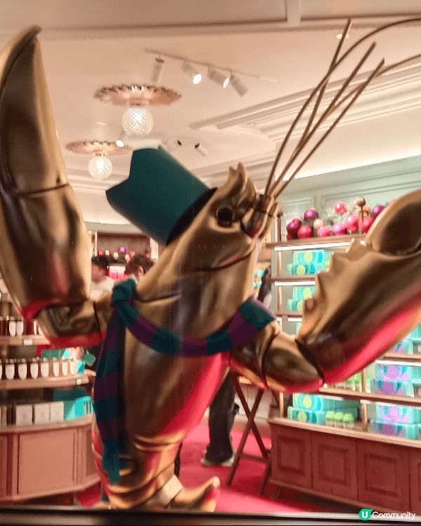 聖誕節離不開睇聖誕樹，睇聖誕裝飾，行商場,買禮物，會佳友，開...