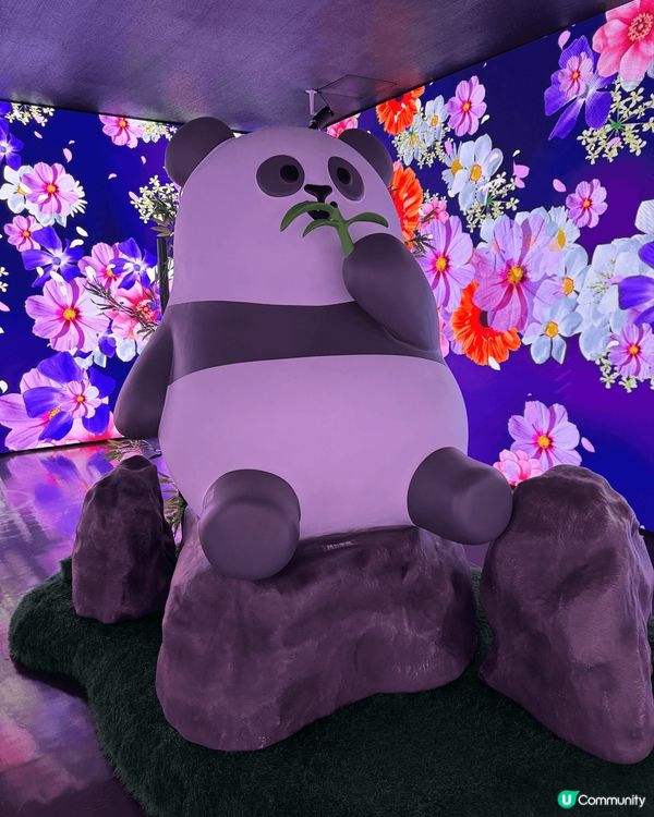 海洋公園有個新景點，叫做大熊貓「竹」夢之旅，沉浸式體驗大熊貓...