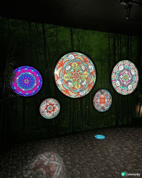 海洋公園有個新景點，叫做大熊貓「竹」夢之旅，沉浸式體驗大熊貓...